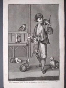 Picart Ottoman Empire Etching 1741 Turkey Dgi-Gurdgi Albanian Cats - Picture 1 of 4