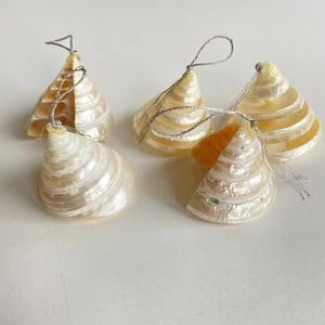 5 Perlen Trochus echte Meeresmuschel Weihnachtsschmuck Spirale Strand Nautischer Ozean - Bild 1 von 7