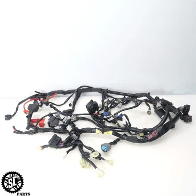 ARNÉS DE CABLEADO PRINCIPAL YAMAHA YZF R1 15-19 SIN CORTES Foto 1 de 4