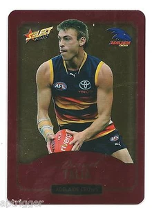2014 Select Champions Gold (13) Daniel TALIA Adelaide - Picture 1 of 1