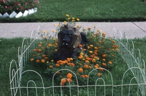 Spooky Gothic Lion Statue Sculpture Flowers Artistic Original 1975 Photo Slide - Picture 1 of 1