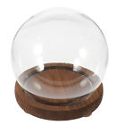 Glass Dome With Base Succulents Display Domes For Keepsake Globe Household