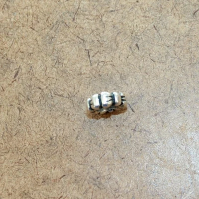 Pandora Sterling Silver Bow Spacer Bead Charm #790303 (095WEJ] - Image 1 of 4