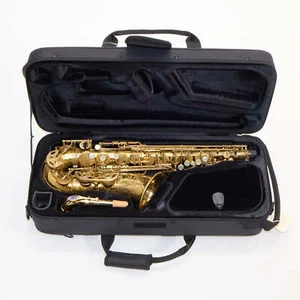 Selmer Paris Mark VI Professional Alto Saxophone SN 227174 FRESH OVERHAUL - Picture 1 of 24