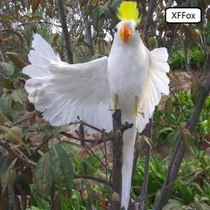 white "hello" wings parrot foam&feather simulation cockatoo model about 45cm - Picture 1 of 3
