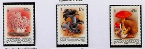 HUNGARY Sc 3391-3 NH ISSUE OF 1993 - MUSHROOMS - (LN25) - Picture 1 of 1