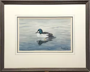 PHILIP RICKMAN, GOLDENEYE DUCK, 1971 SIGNED ORIGINAL WATERCOLOUR PAINTING FRAMED - Picture 1 of 24