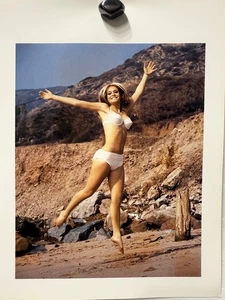 Poster 11x14 foto ragazza pin-up classica adulto anni 60 -- Cheryl Shrode - Foto 1 di 2