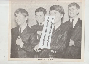 THE MCCOYS  EXHIBIT CARD FILE 8X10 PHOTO RECORDING ARTISTS SET - Picture 1 of 2