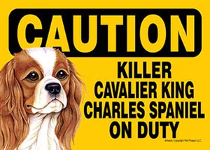 Letrero magnético gancho y sujetador de bucle Killer Cavalier King Charles de servicio 5x7 - Imagen 1 de 1