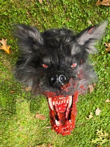 Blutige graue Werwolf Requisite mit leuchtenden LED Augen Halloween Spukhaus - Bild 1 von 13