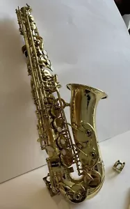 More details for alto saxophone ‘protege’