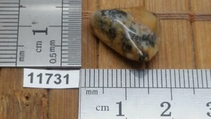 AGATE DENDRITE pierre roulée mineraux lithotherapie collection esoterisme reiki - Picture 1 of 1