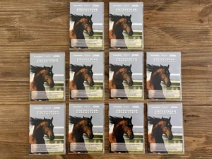Equestrian Essentials Horse & Rider Riding Skills Horsemanship Lot Of 10 Dvd’s - Picture 1 of 23