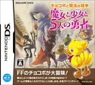 Nintendo DS Chocobo and Magic Picture Book: The Witch the Girl and Five Heroes
