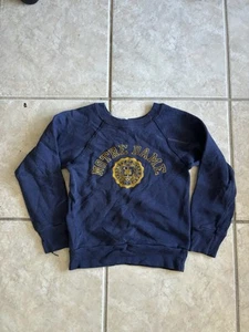 Vintage 70s Champion Sweatshirt Baby Size small 6-8 1970s notre dame flock weave - Picture 1 of 6