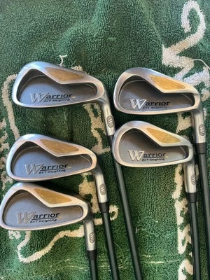 Juego de hierro de golf Warrior personalizado 6-PW RH regular grafito Foto 1 de 4
