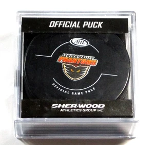 Lehigh Valley Phantoms AHL Official Game Puck New in Cube Sealed - Picture 1 of 2
