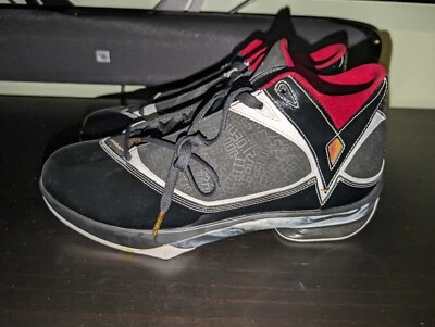 Par de muestras RARO para Mike Nike Air Jordan 2009 Salón de la Fama 371499-031 talla 13,5 Foto 1 de 4