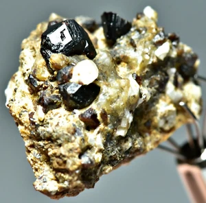 Cristallo granato Andradite terminato completo 17 carati su matrice dal Pakistan - Foto 1 di 5