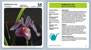 Rabbit-Ear Iris #18 Aquatic Plants - My Green Gardens 1987 Cardmark Card
