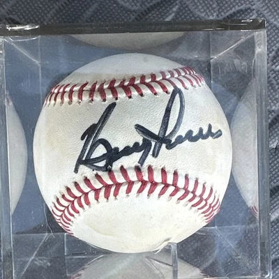 BOLA DE BEISEBOL AUTOGRAFADA ASSINADA POR BOOG POWELL - Imagem 1 de 4