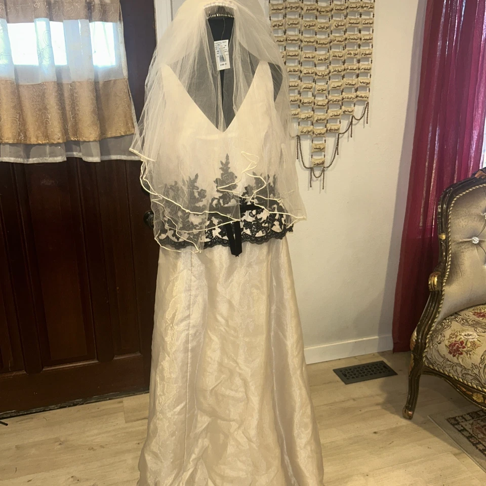 DAVID’S BRIDAL 16 Bronceado Formal Vestido Boda Dama de honor Organza Negro Borde Velo Nuevo con Etiquetas Foto 1 de 4