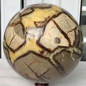 8080G Natürlicher Schildkrötenrückenstein Drache Kristallkugel Quarz Mineral Heilung - Bild 1 von 12