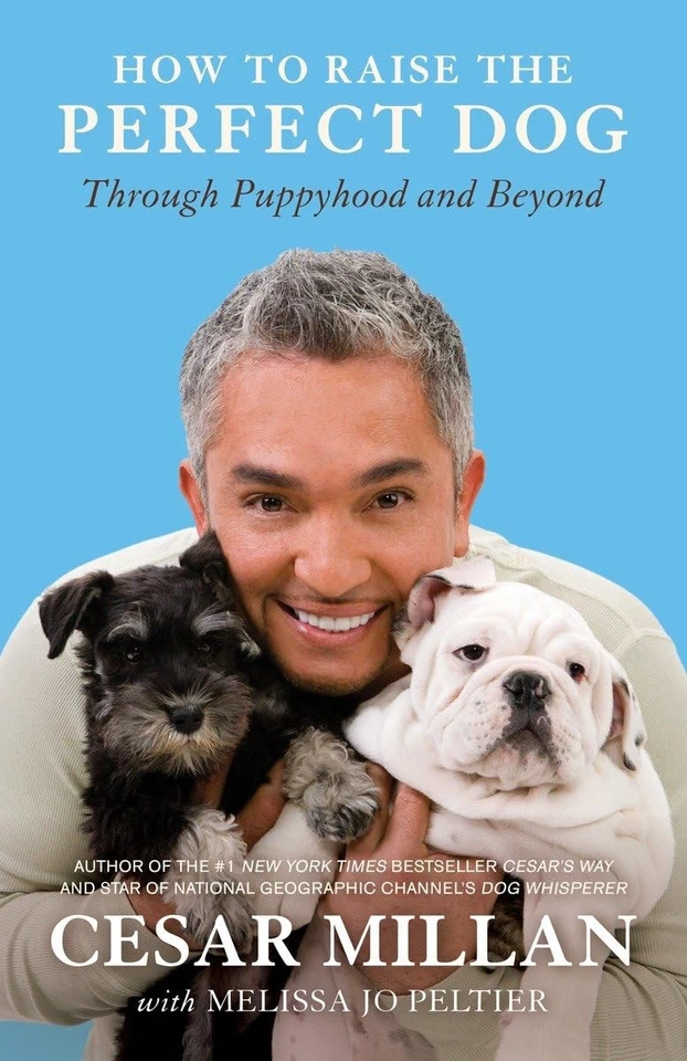 How to Raise the Perfect Dog: Through Puppyhood and Beyond - Image 1 of 1