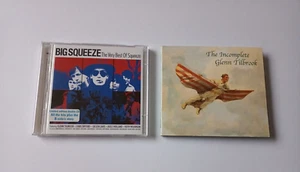 Lot x 2 Squeeze / Glenn Tilbrook CD Albums - The Incomplete / Big Squeeze - Imagen 1 de 9