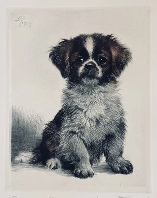 "Pekingese" Farbradierung von Kurt Meyer-Eberhardt (Hanfstaengl Nachlass) - Bild 1 von 3
