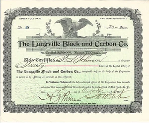NEW YORK The Langville Black & Carbon Company Stock Certificate 1894 #48 Electri - Picture 1 of 2