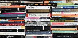 BUILD YOUR OWN PAPERBACK LOT : Cult Novels Modern Classics Contempo Lit Fiction - Picture 1 of 394