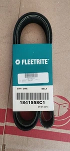 International Navistar 1841558C1 Serpentine Belt Fleetrite - Bild 1 von 1