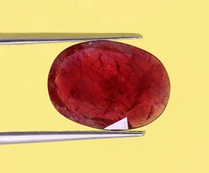 4.48 Ct Mozambique Mined Natural Loose Ruby Oval Cut 14x10 mm Red Color Gemstone - Picture 1 of 22