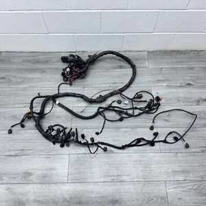 CABLE DE TELAR DE CABLEADO DE MOTOR AUDI A4 B8 8K2971072HC 2.0 TDI MOTOR CAGA 08-16 - Imagen 1 de 19