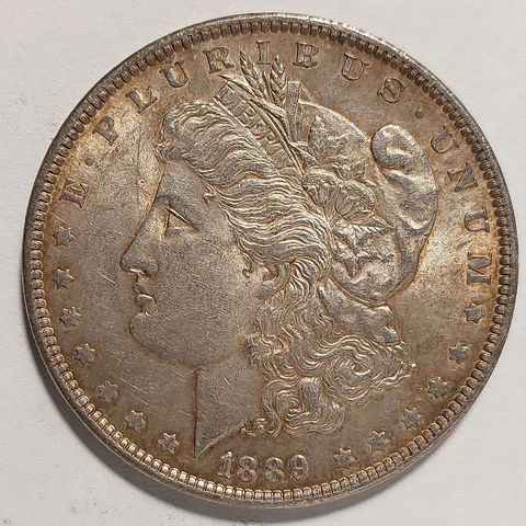 1889 P Morgan Silver Dollar - 90% Silver - 0723-1 Cover