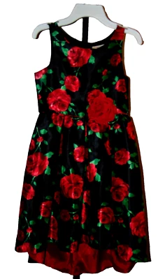 Платье для девочки размер 10 черный красный зеленый цветочный розовый Hi низкий подол Emily West - Изображение 1 из 4