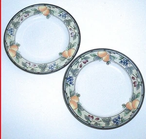 2+QTY MIKASA GARDEN HARVEST INTAGLIO CAC29 RIMMED SOUP - Picture 1 of 2