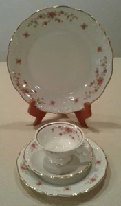 VINTAGE WALBRZYCH 3731 PINK/YELLOW FLORAL 4 PIECE PLACE SETTING - Picture 1 of 6