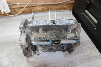 Arctic Cat M1000 2007-2011 motor Efi cárter cárter cárter bueno Foto 1 de 4