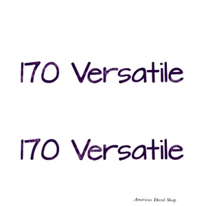 RoadTrek 170 Versatile RV Decals (Set Of 2) – OEM New Oracle - Picture 1 of 3