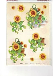 TBZ Card Making Set 5  Packs 3D Decoupage Sheets Cards and Envelopes Floral - Picture 1 of 5