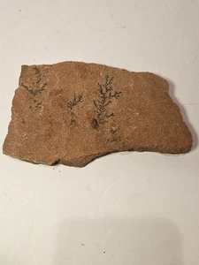 2" & 1" Pyrolusite Dendritic Sandstone Stone Is 5.5"x3" - Picture 1 of 3