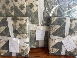 3 Pcs Set Pottery Barn Winter Spruce Full/Queen Quilt & 2/Standard sham Set New - Picture 1 of 6