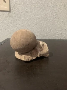 Ancient American Artifacts  Fossilized Shell And Round Grinding Stone - Picture 1 of 2