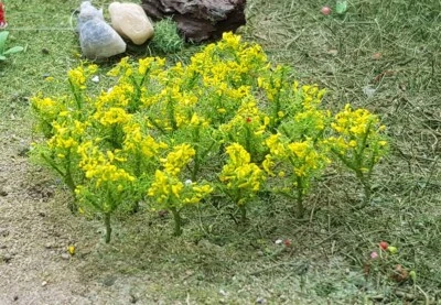 MP SCENERY 32 Oilseed Rapes N Gauge Model Farm Plants Railroad & Farm Layout - Image 1 of 4