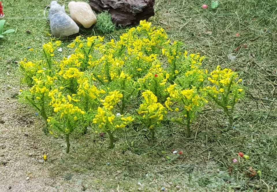 MP SCENERY 32 Oilseed Rapes N Gauge Model Farm Plants Railroad & Farm Layout - Image 1 of 4