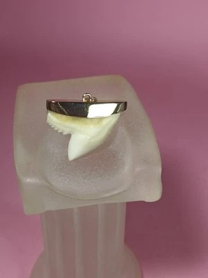 Pendentif Ancien Or 18 Carats Dents De Requin Tigre - Photo 1/4