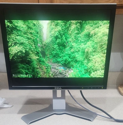 Dell 2007FPb 20" LCD Monitor 1600x1200 DVI VGA S-Video Composite w/Stand - Image 1 of 4